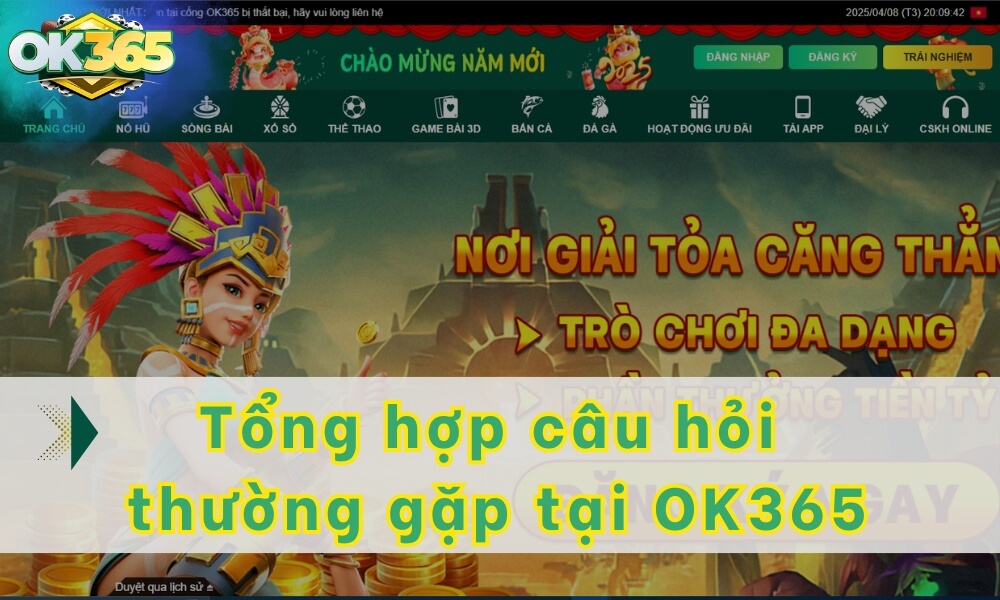 Tổng hợp câu hỏi thường gặp OK365 được quan tâm nhất